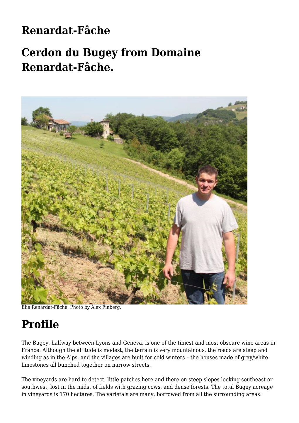 Renardat-Fâche Cerdon Du Bugey from Domaine Renardat-Fâche