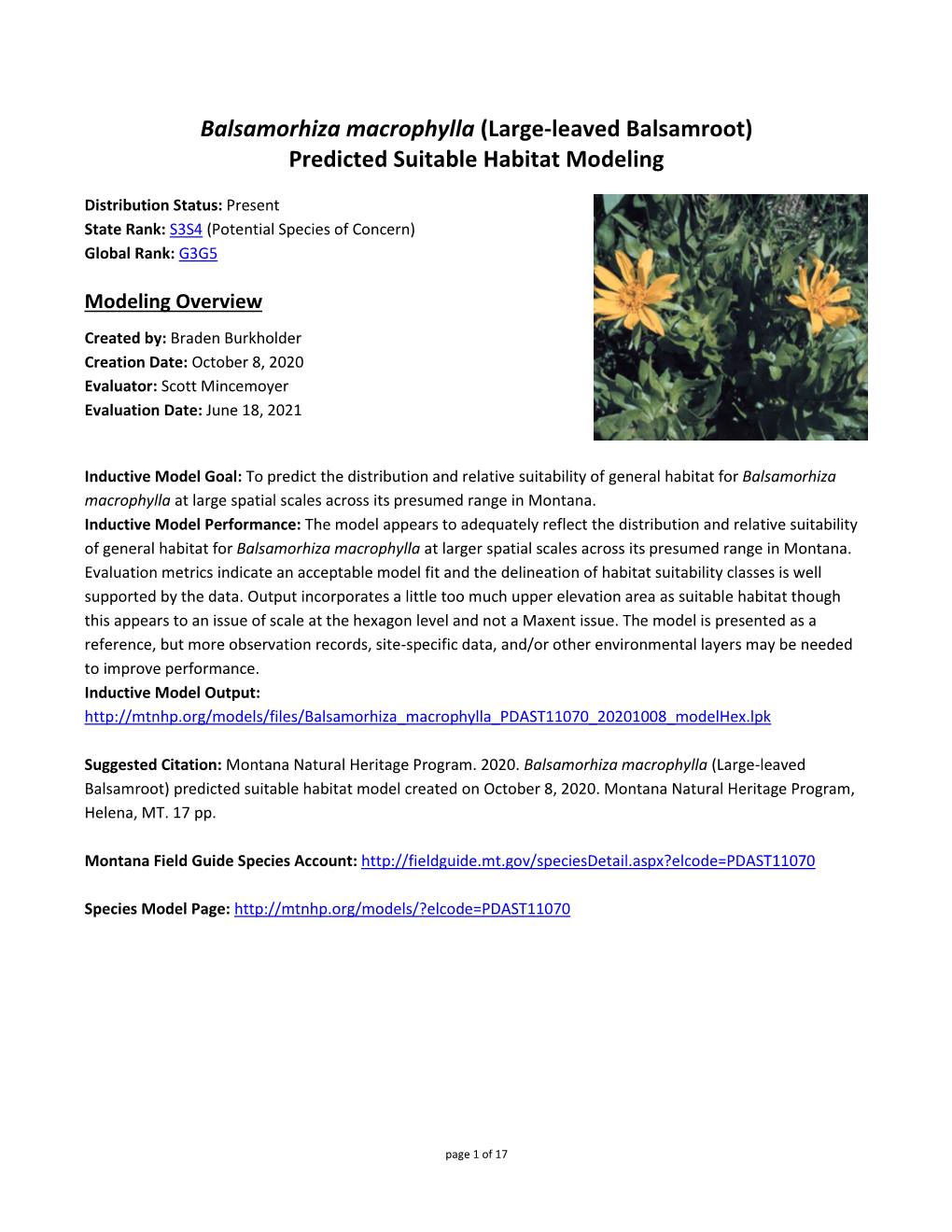 Balsamorhiza Macrophylla (Large-Leaved Balsamroot) Predicted Suitable Habitat Modeling