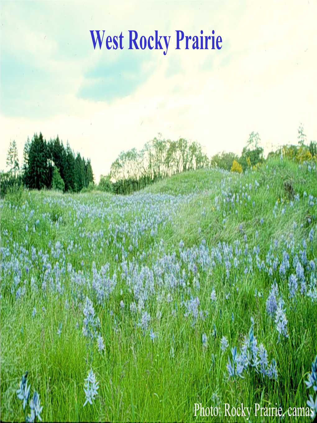 West Rocky Prairie