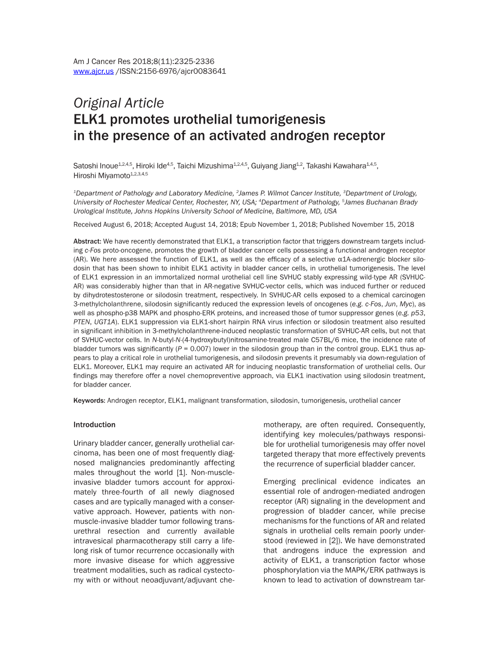 Original Article ELK1 Promotes Urothelial Tumorigenesis in the Presence of an Activated Androgen Receptor