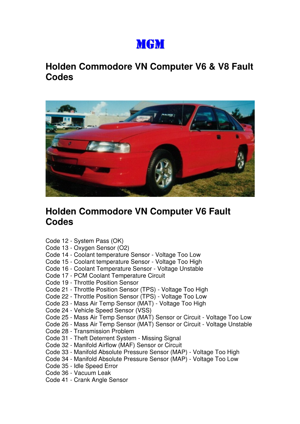 Holden Commodore VN Computer V8 Fault Codes