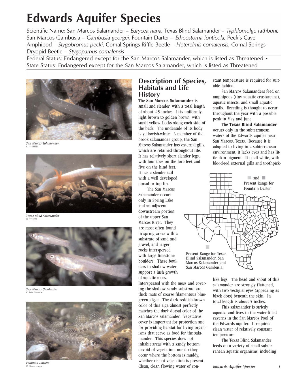 Edwards Aquifer Species