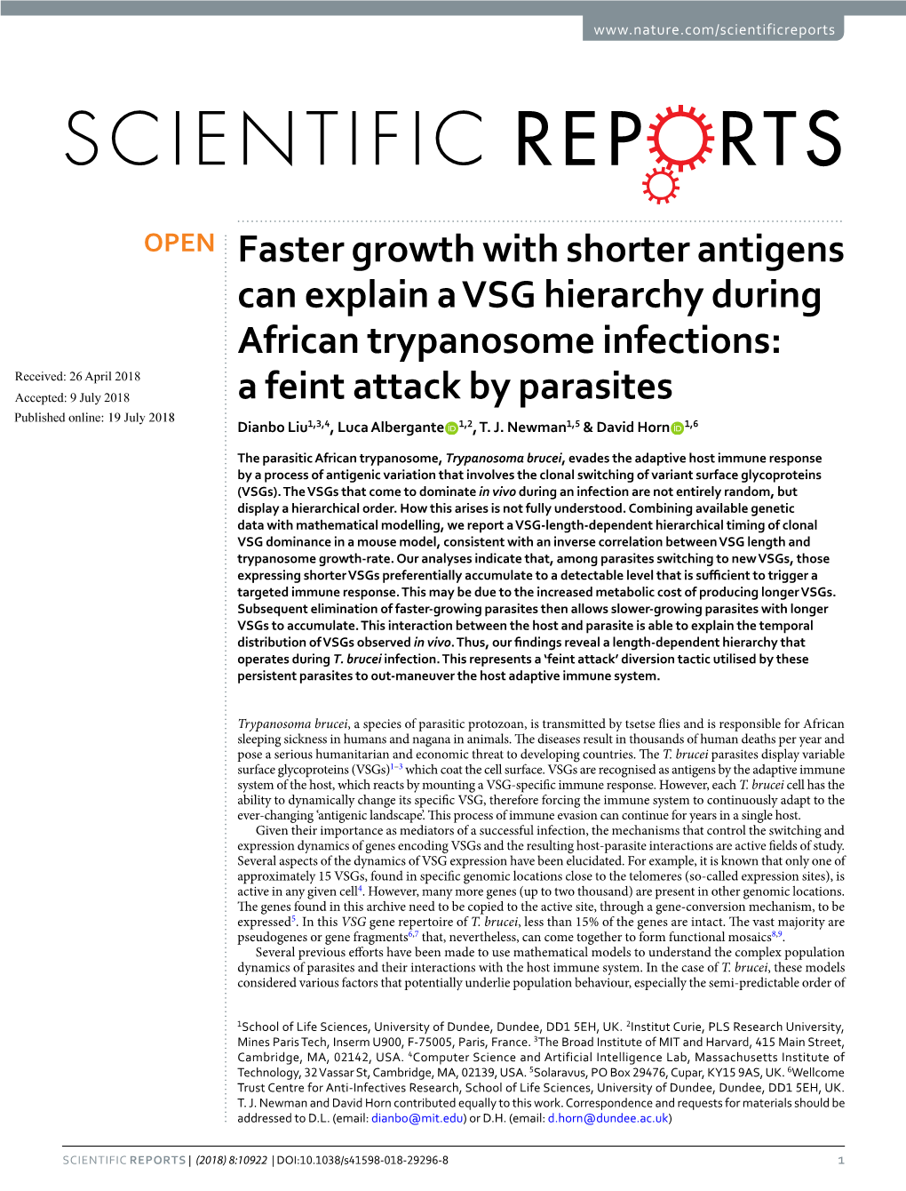 Faster Growth with Shorter Antigens Can Explain a VSG Hierarchy During African Trypanosome Infections