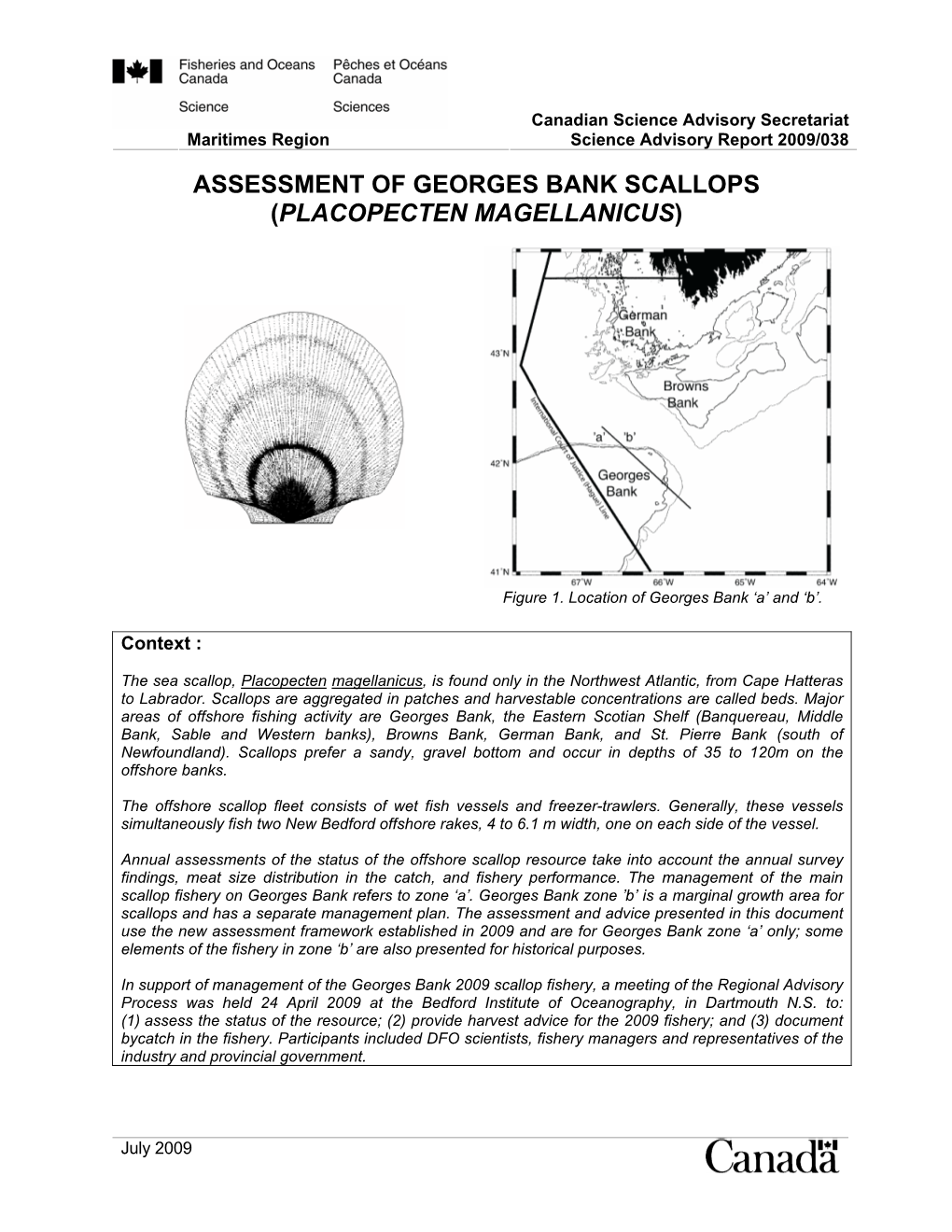 Assessment of Georges Bank Scallops (Placopecten Magellanicus)