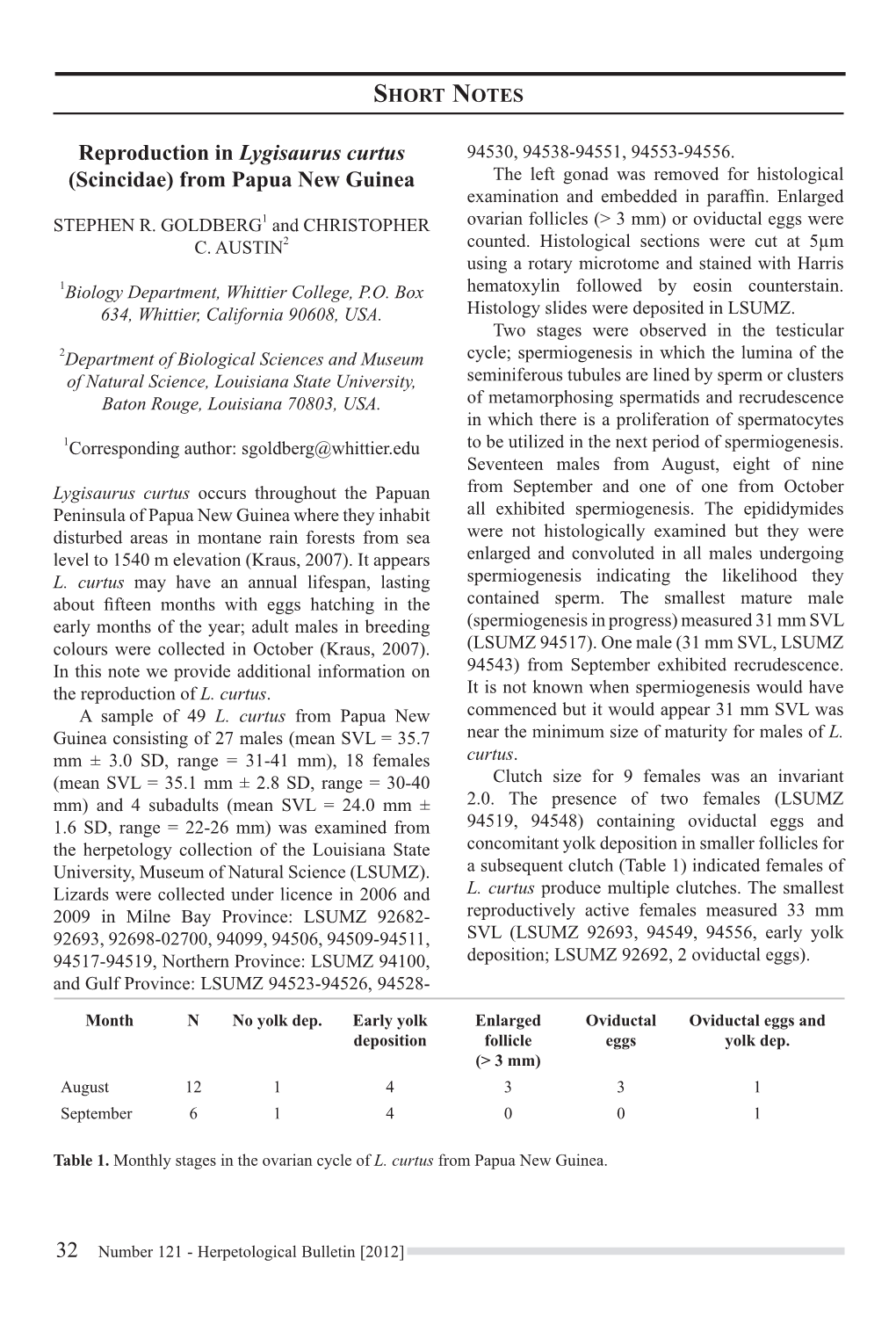 Reproduction in Lygisaurus Curtus (Scincidae) from Papua New Guinea