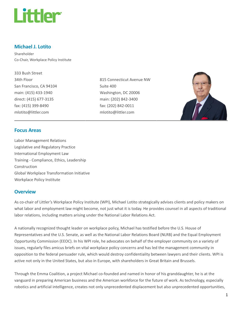 Michael J. Lotito Focus Areas Overview