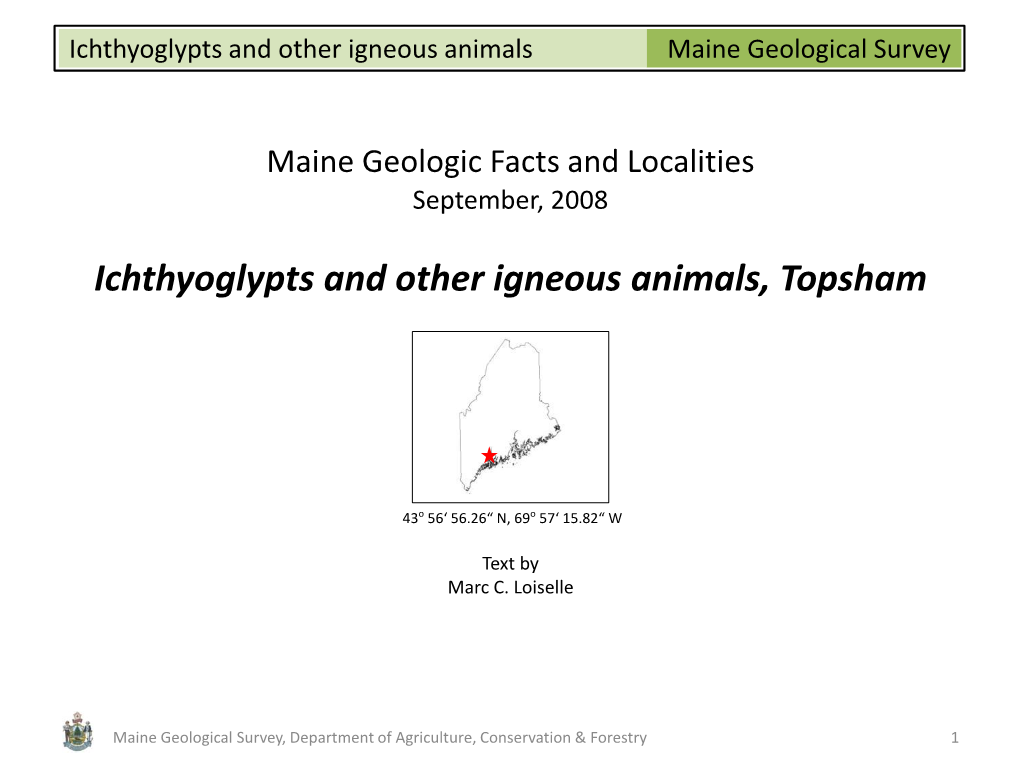 Ichthyoglypts and Other Igneous Animals, Topsham