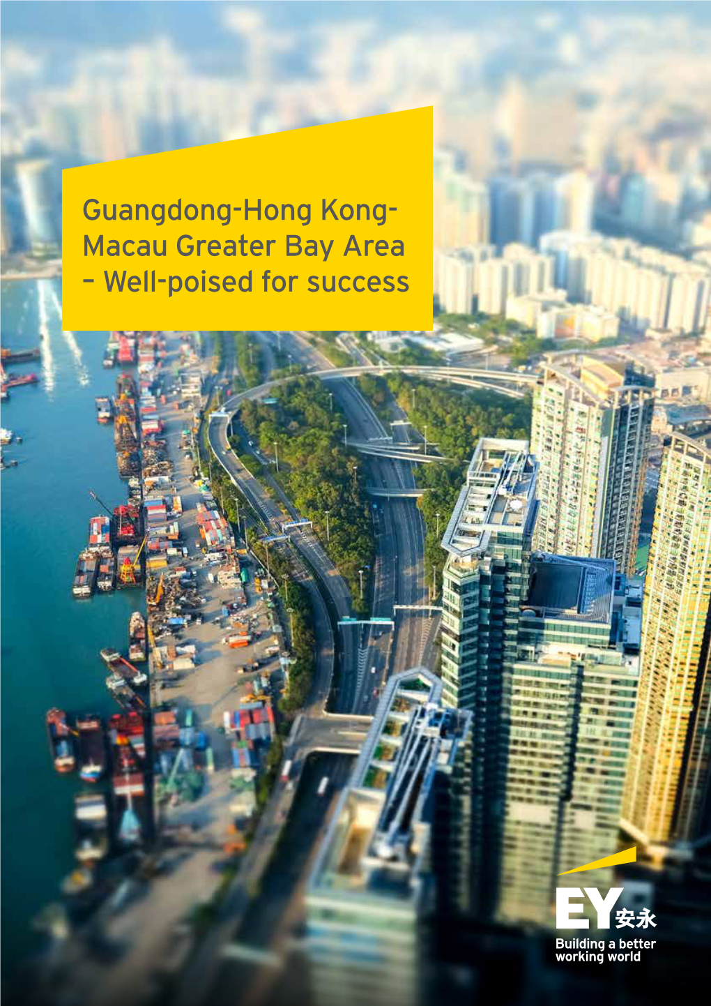Guangdong-Hong Kong-Macau Greater Bay Area