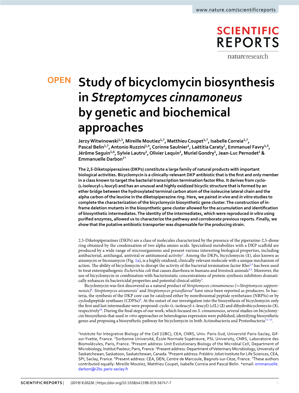 Study of Bicyclomycin Biosynthesis in Streptomyces Cinnamoneus By