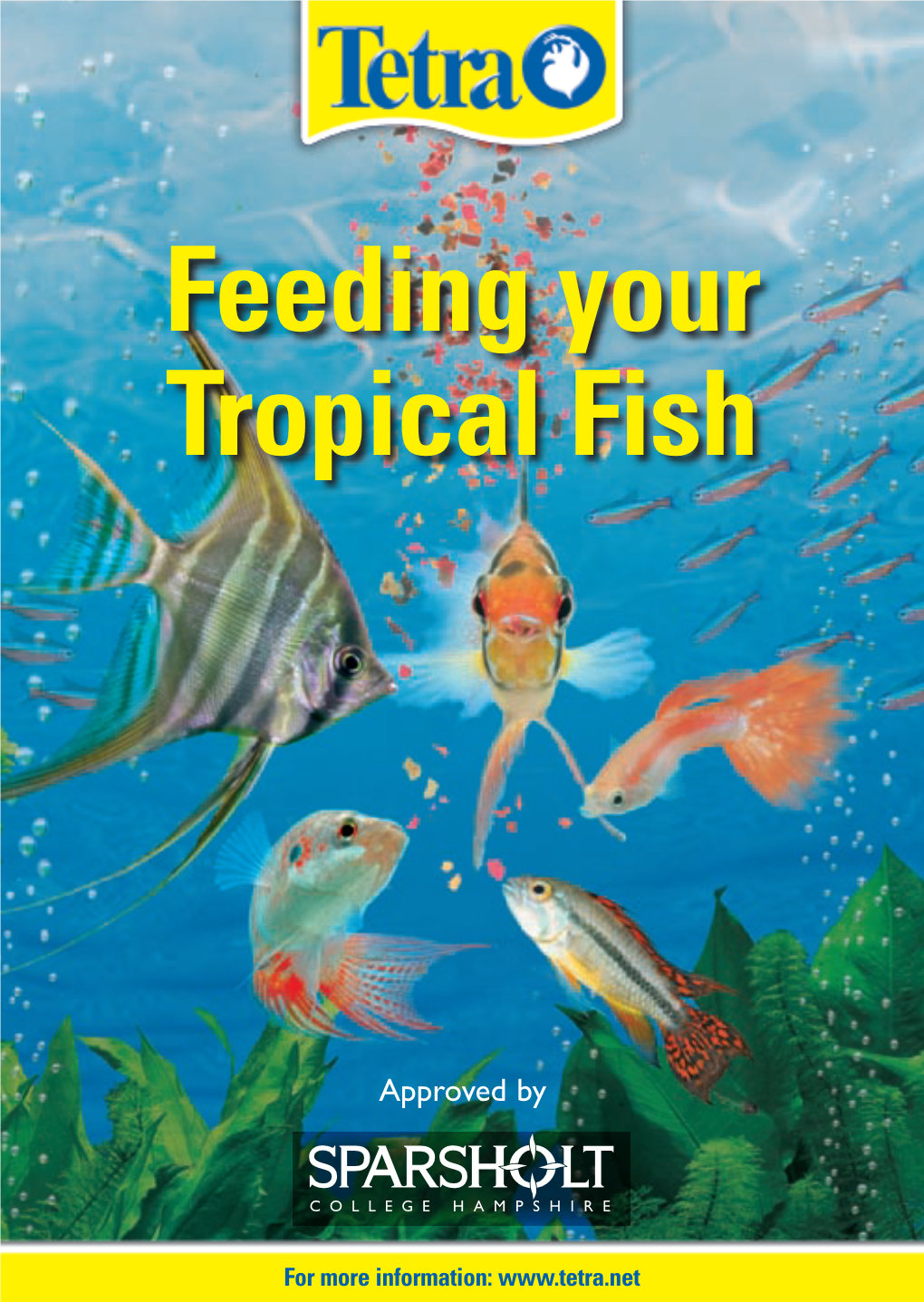 Feeding Your Tropical Fish