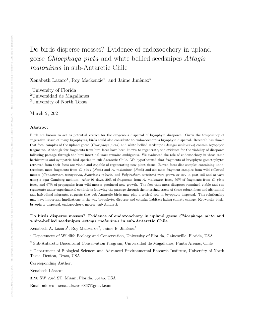 Do Birds Disperse Mosses? Evidence of Endozoochory in Upland Geese Chloephaga Picta and White-Bellied Seedsnipes Attagis Malouin