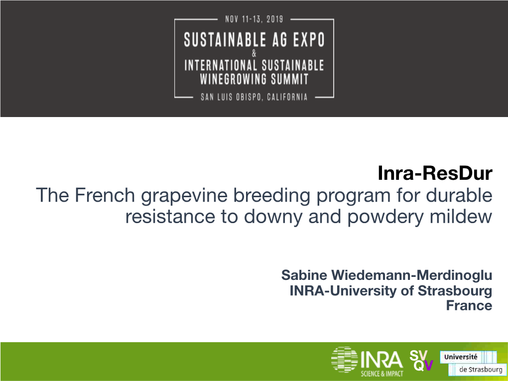 The Inra-Resdur Breeding Program