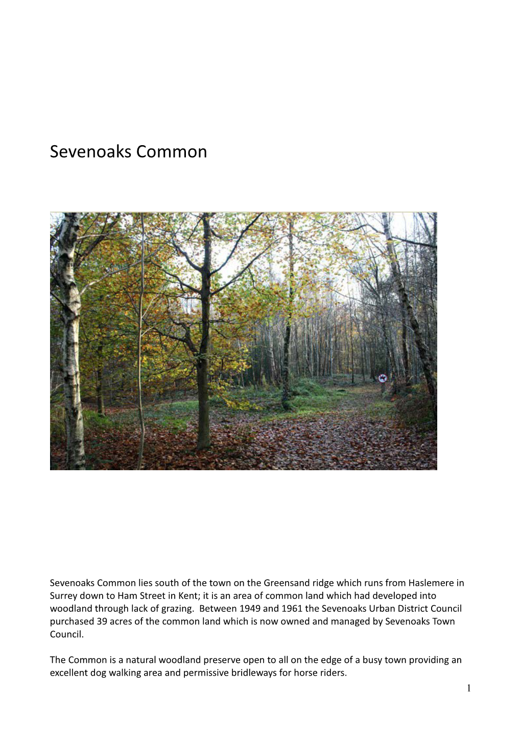 Sevenoaks Common