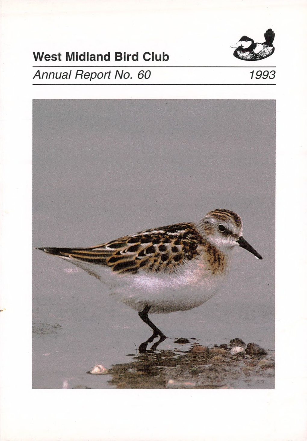 West Midland Bird Club Annual Report No. 60 1993 Little Stint, Blithfield, September 1993
