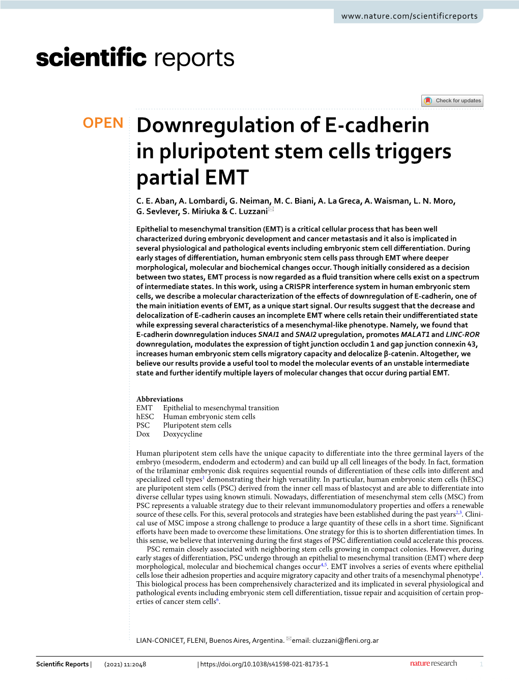 Downregulation of E-Cadherin in Pluripotent Stem Cells