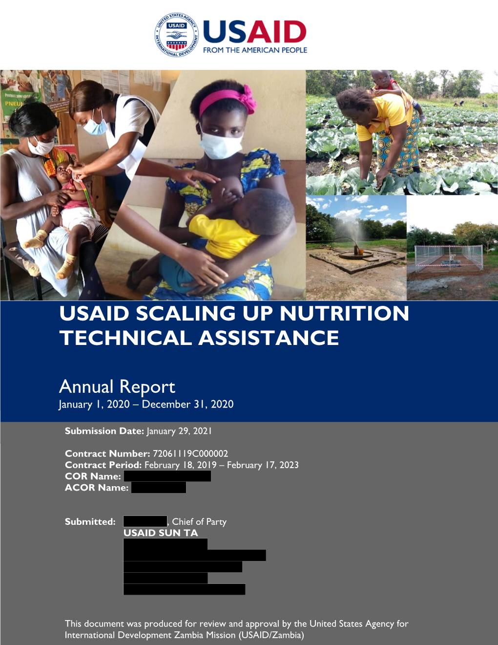 Usaid Scaling up Nutrition Technical Assistance