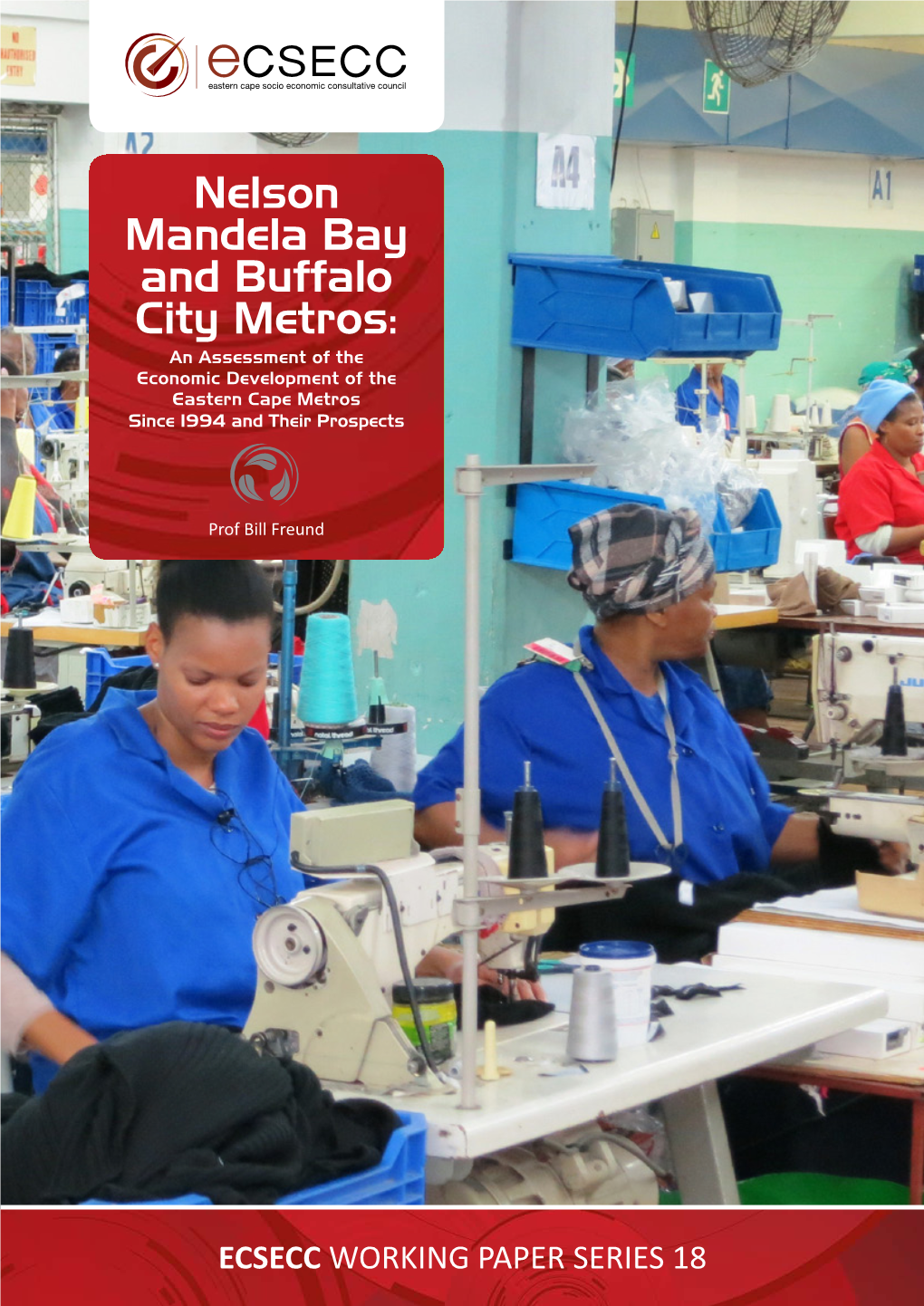 Nelson Mandela Bay and Buffalo City Metros: an Assessment of the Economic Development of the Eastern Cape Metros Since 1994 and Their Prospects