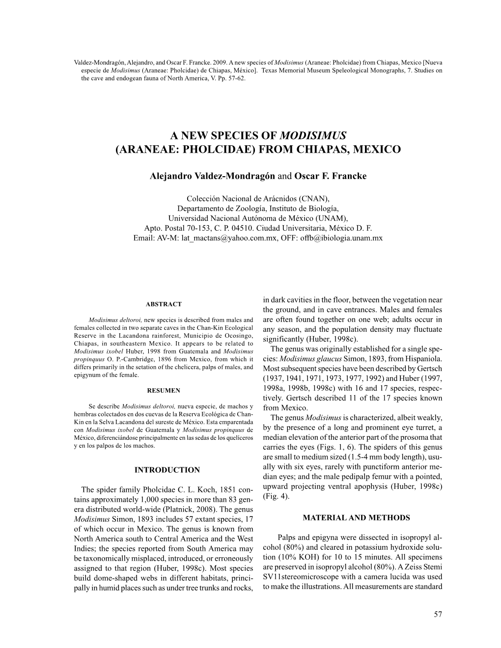 A New Species of Modisimus (Araneae: Pholcidae) from Chiapas, Mexico [Nueva Especie De Modisimus (Araneae: Pholcidae) De Chiapas, México]