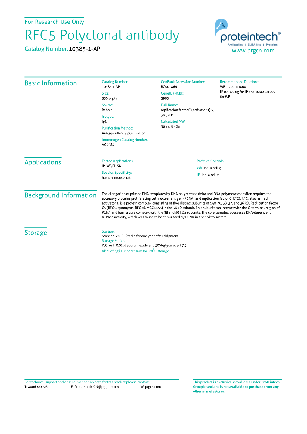 RFC5 Polyclonal Antibody