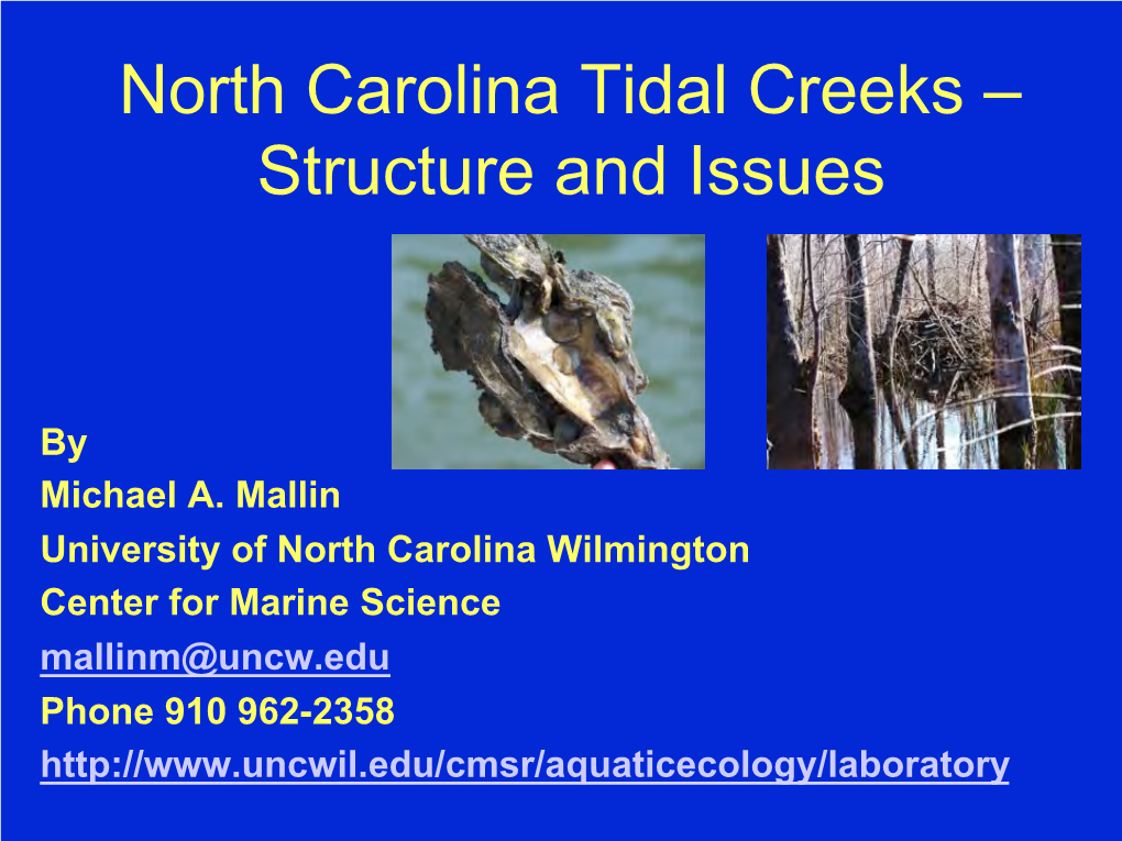 North Carolina Tidal Creeks – Structure and Issues