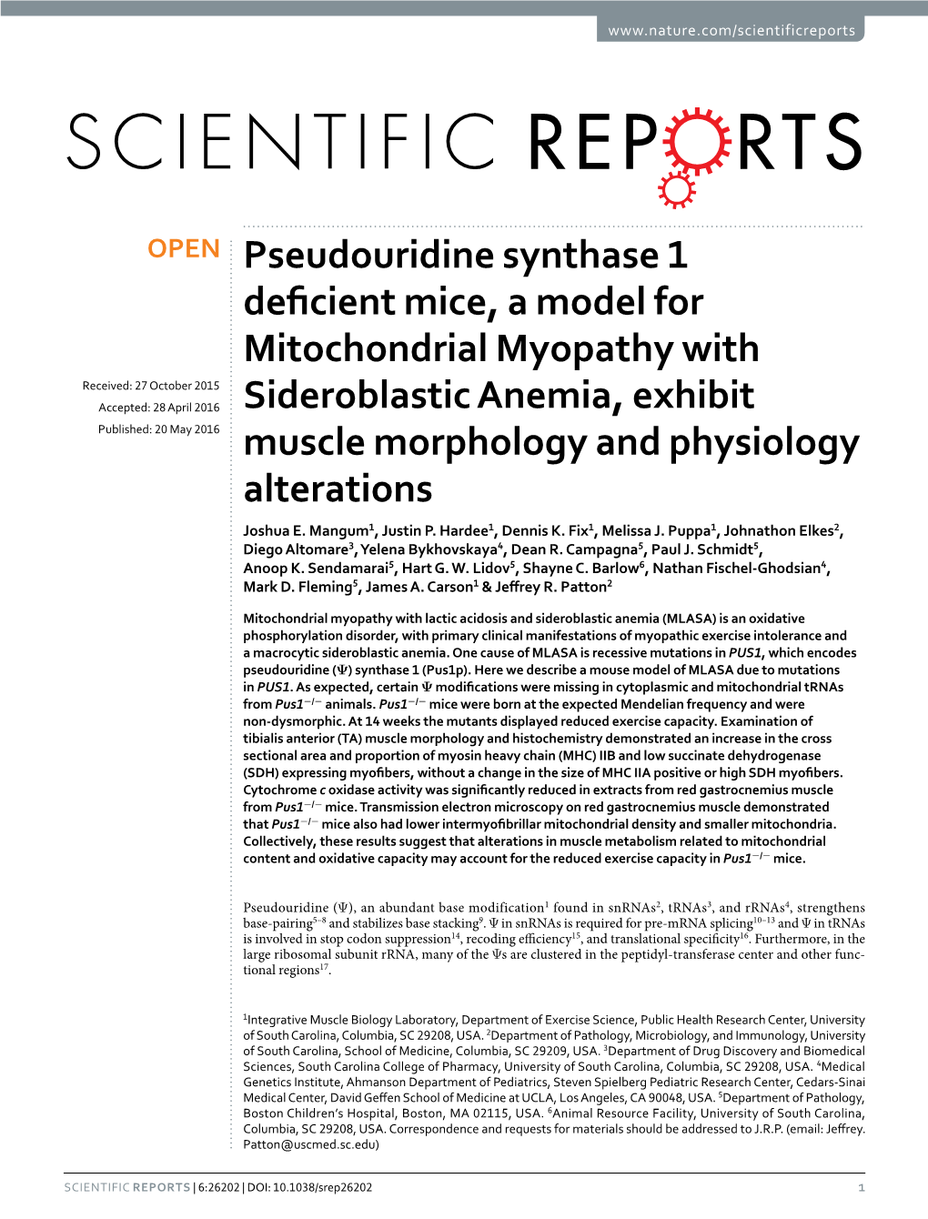 Pseudouridine Synthase 1 Deficient Mice, a Model for Mitochondrial Myopathy with Sideroblastic Anemia, Exhibit Muscle Morphology and Physiology Alterations
