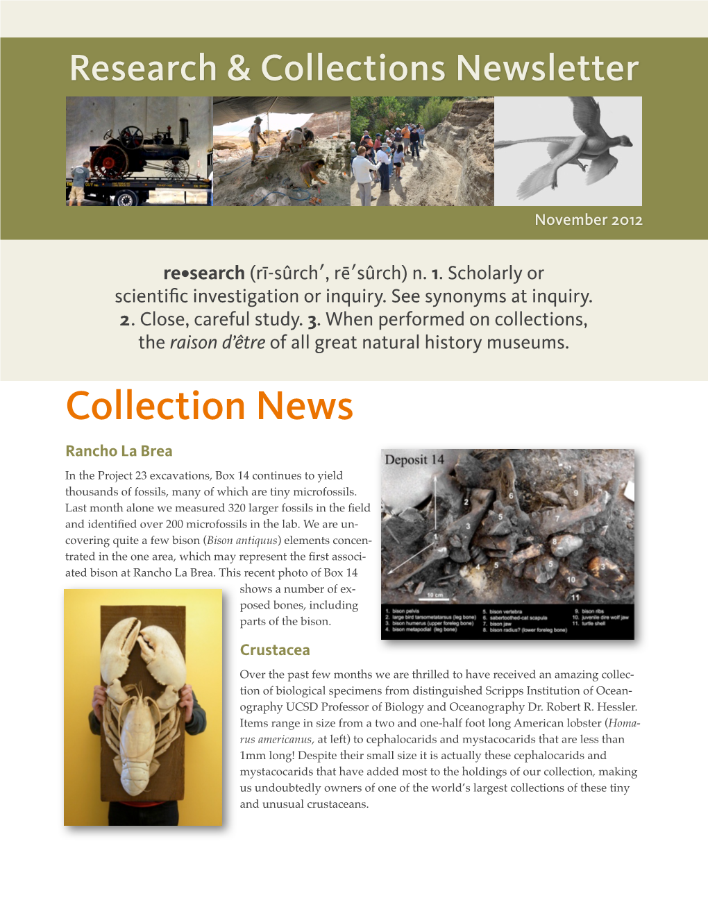 2012-11 R&C Newsletter