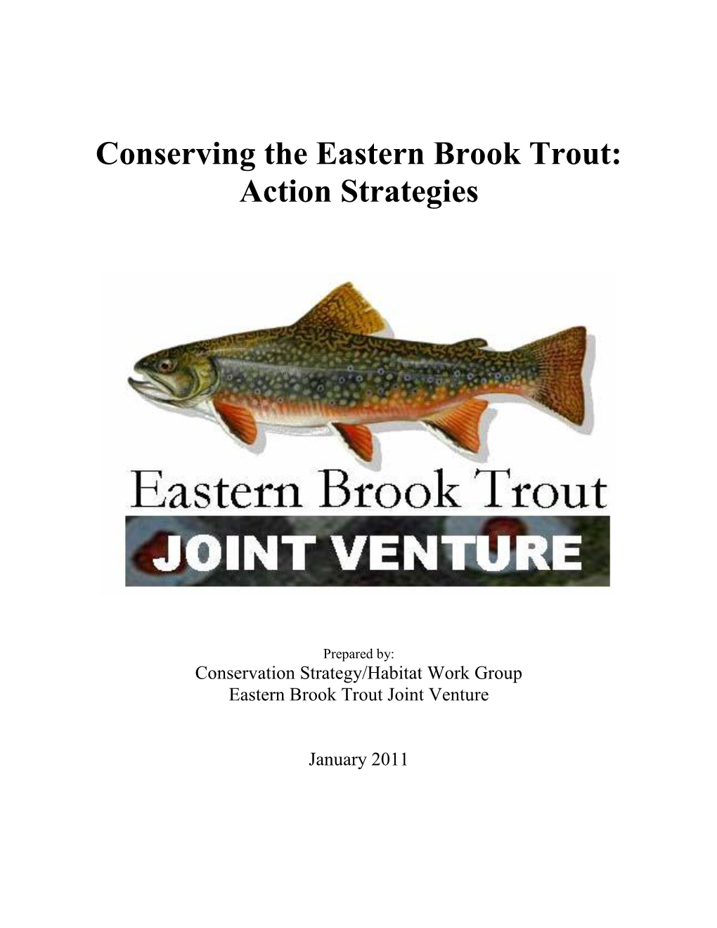 Conserving the Eastern Brook Trout: Action Strategies