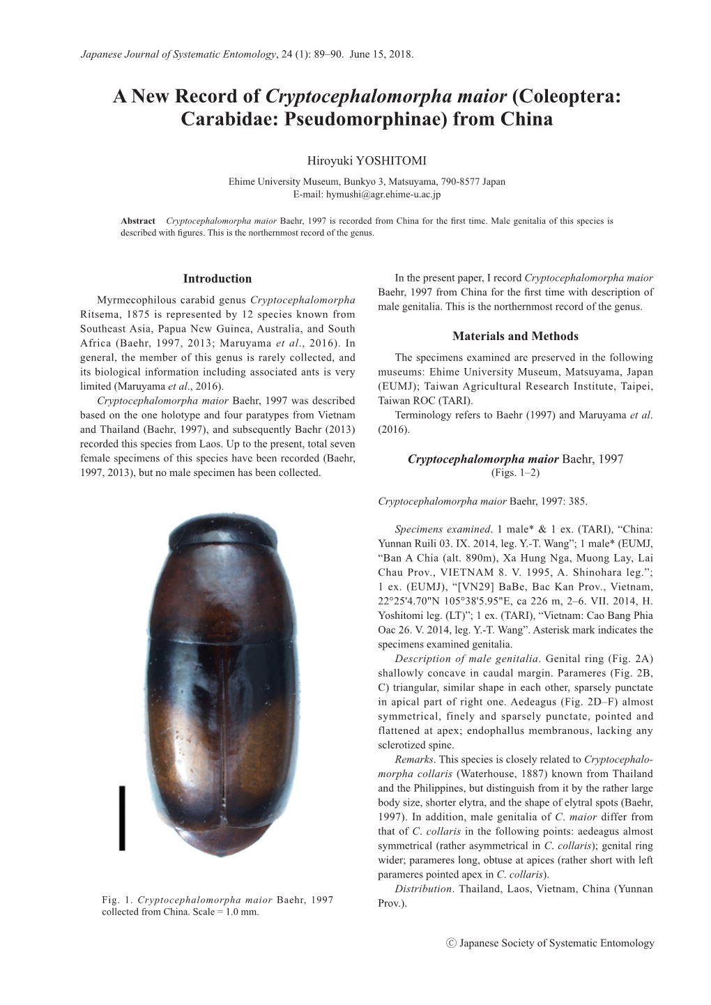 Coleoptera: Carabidae: Pseudomorphinae) from China