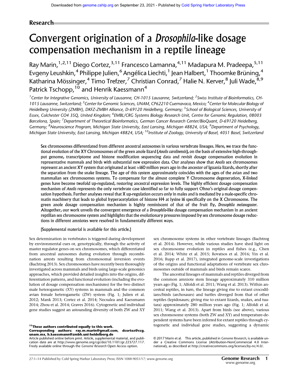 Convergent Origination of a Drosophila-Like Dosage Compensation Mechanism in a Reptile Lineage