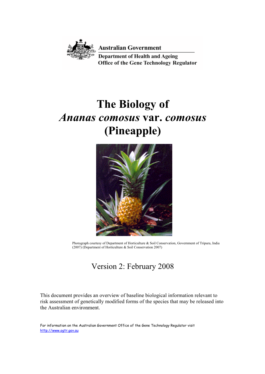 The Biology of Ananas Comosus (Pineapple)