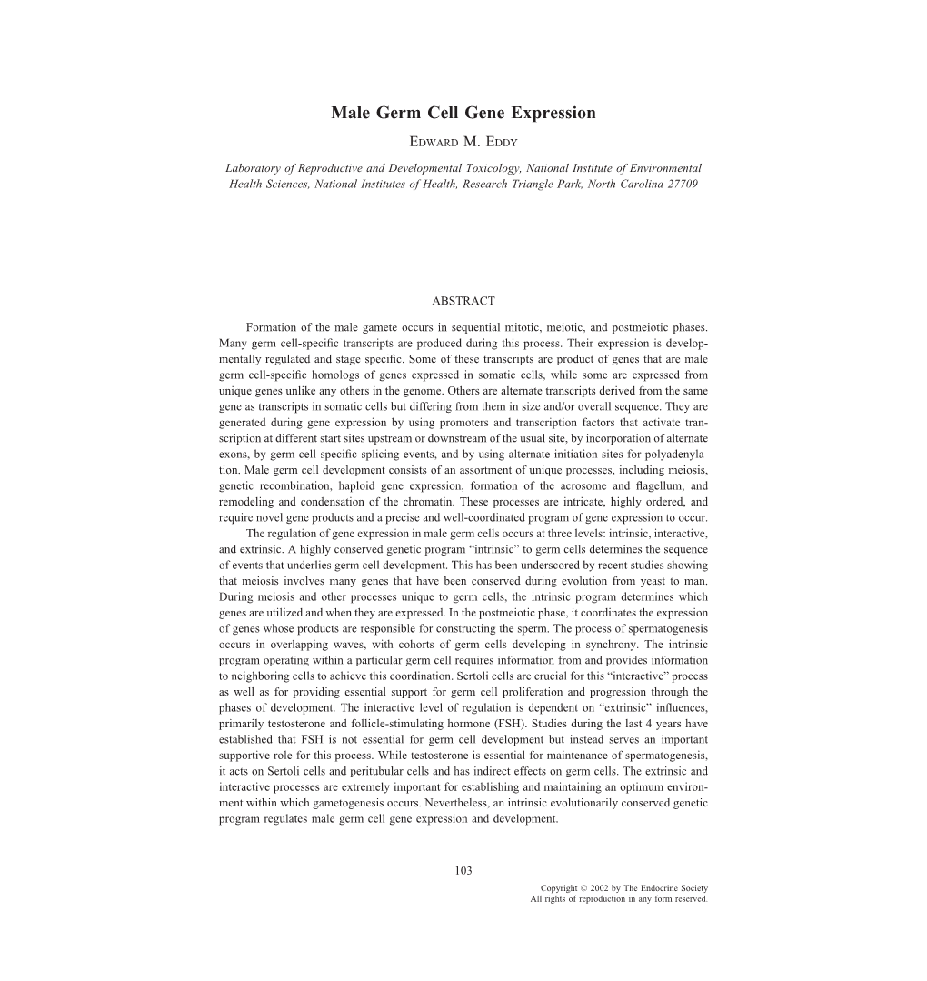 Male Germ Cell Gene Expression