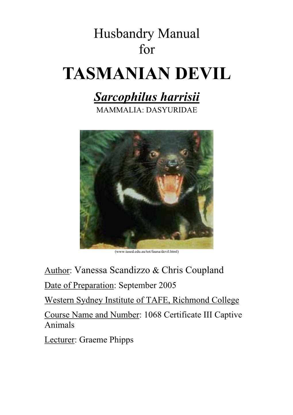 TASMANIAN DEVIL Sarcophilus Harrisii MAMMALIA: DASYURIDAE