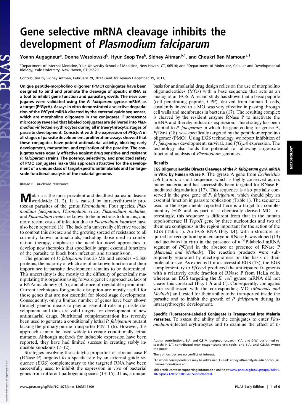 Gene Selective Mrna Cleavage Inhibits the Development of Plasmodium Falciparum