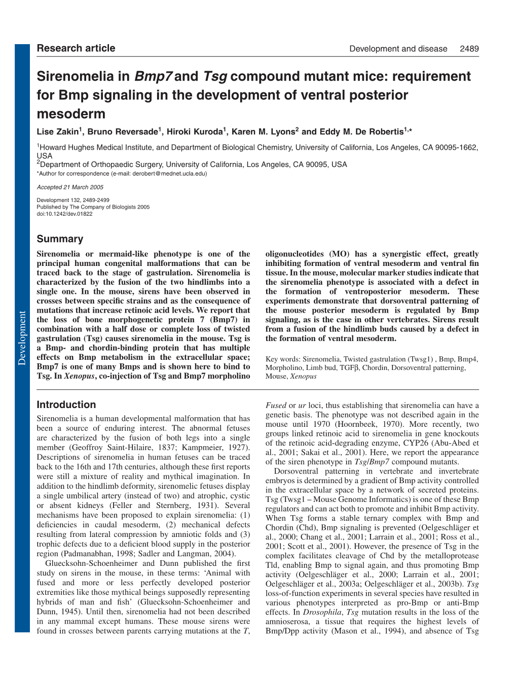 Sirenomelia in Bmp7 and Tsg Compound Mutant Mice