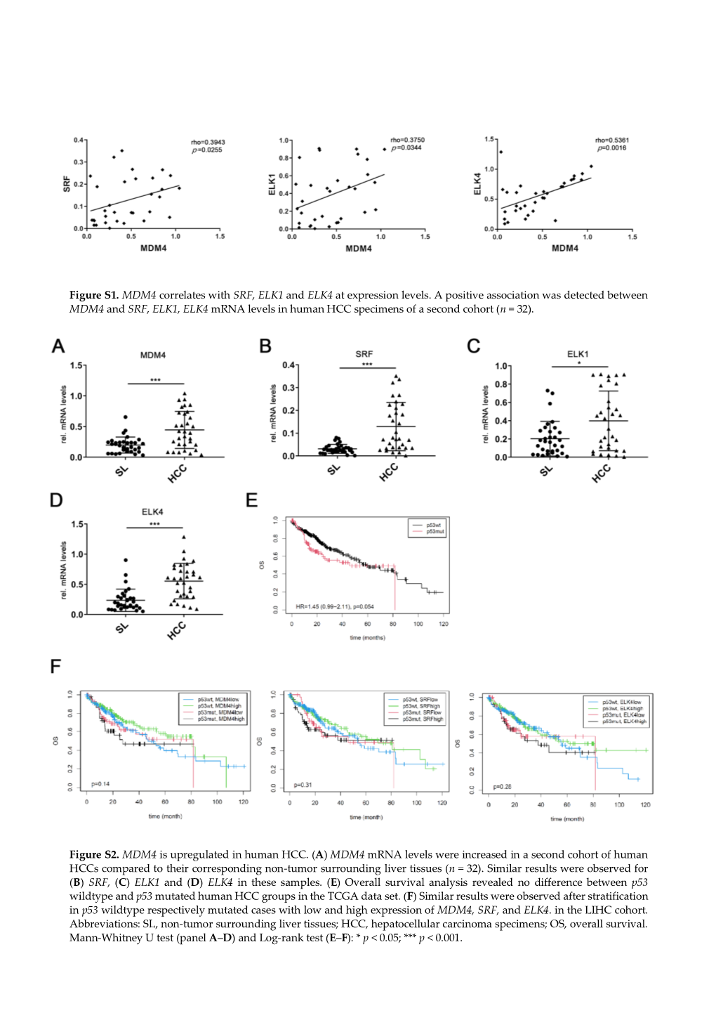 Figure S1. MDM4 Correlates with SRF, ELK1 and ELK4 at Expression Levels