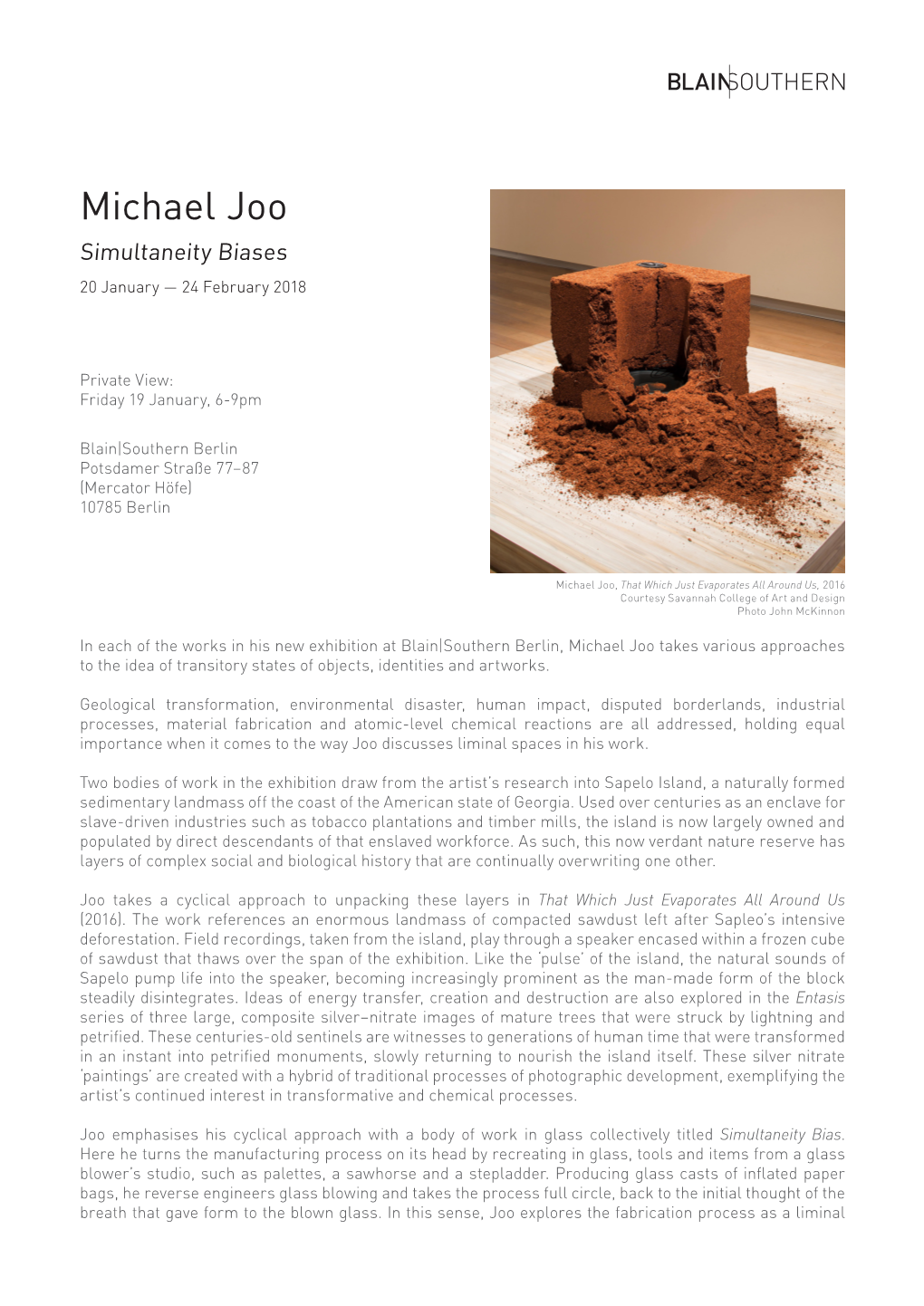 Michael Joo Simultaneity Biases 20 January — 24 February 2018