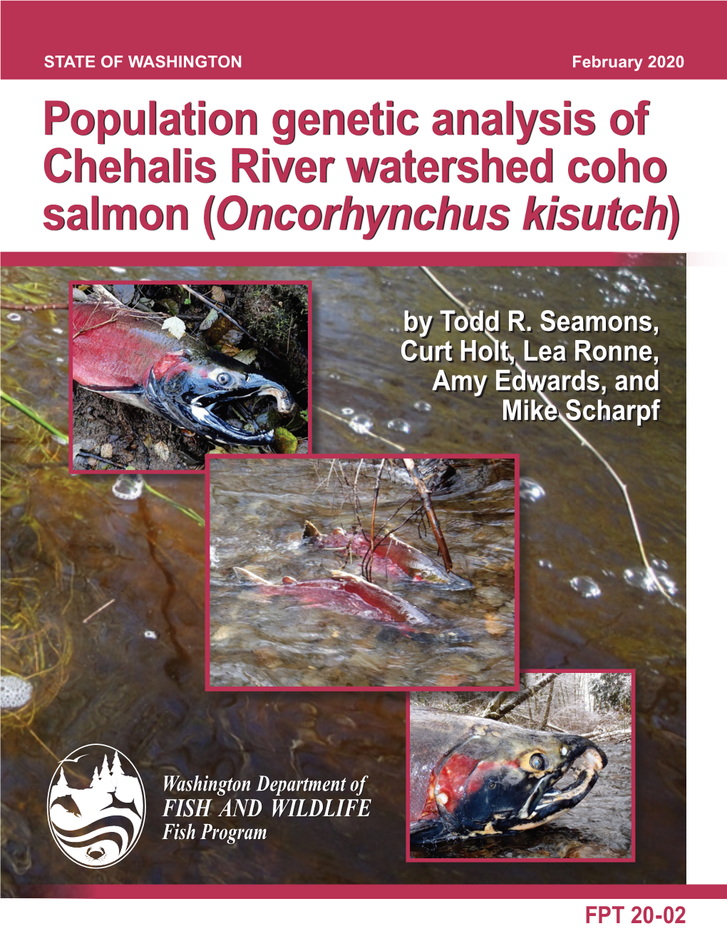 Population Genetic Analysis of Chehalis River Watershed Coho Salmon (Oncorhynchus Kisutch)