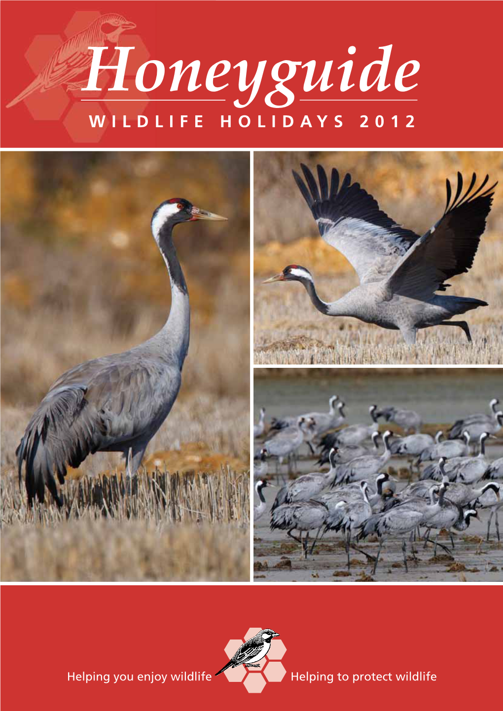 Wildlife Holidays 2012 Honeyguide Brochure 2012.Qxd:5361 26/08/2011 15:46 Page 5