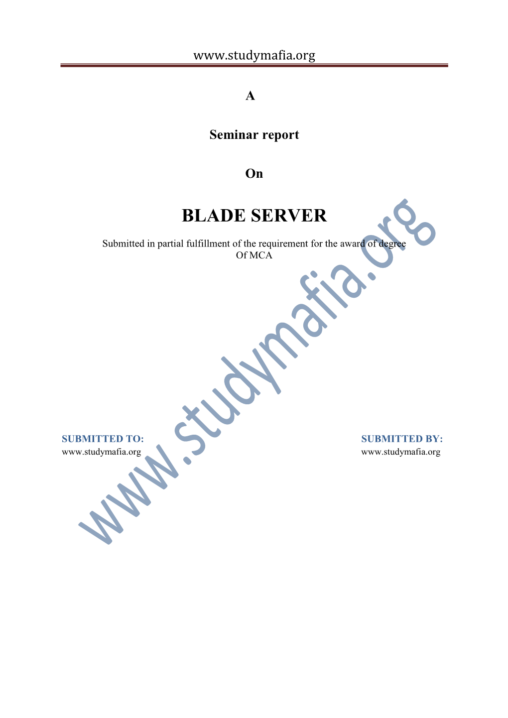 Blade Server