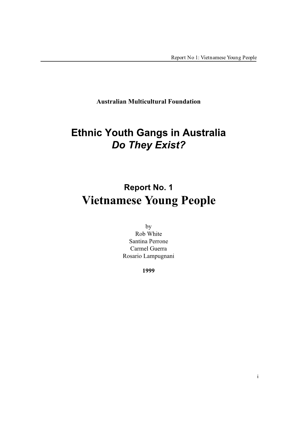 Report 1 – Vietnamese Young People