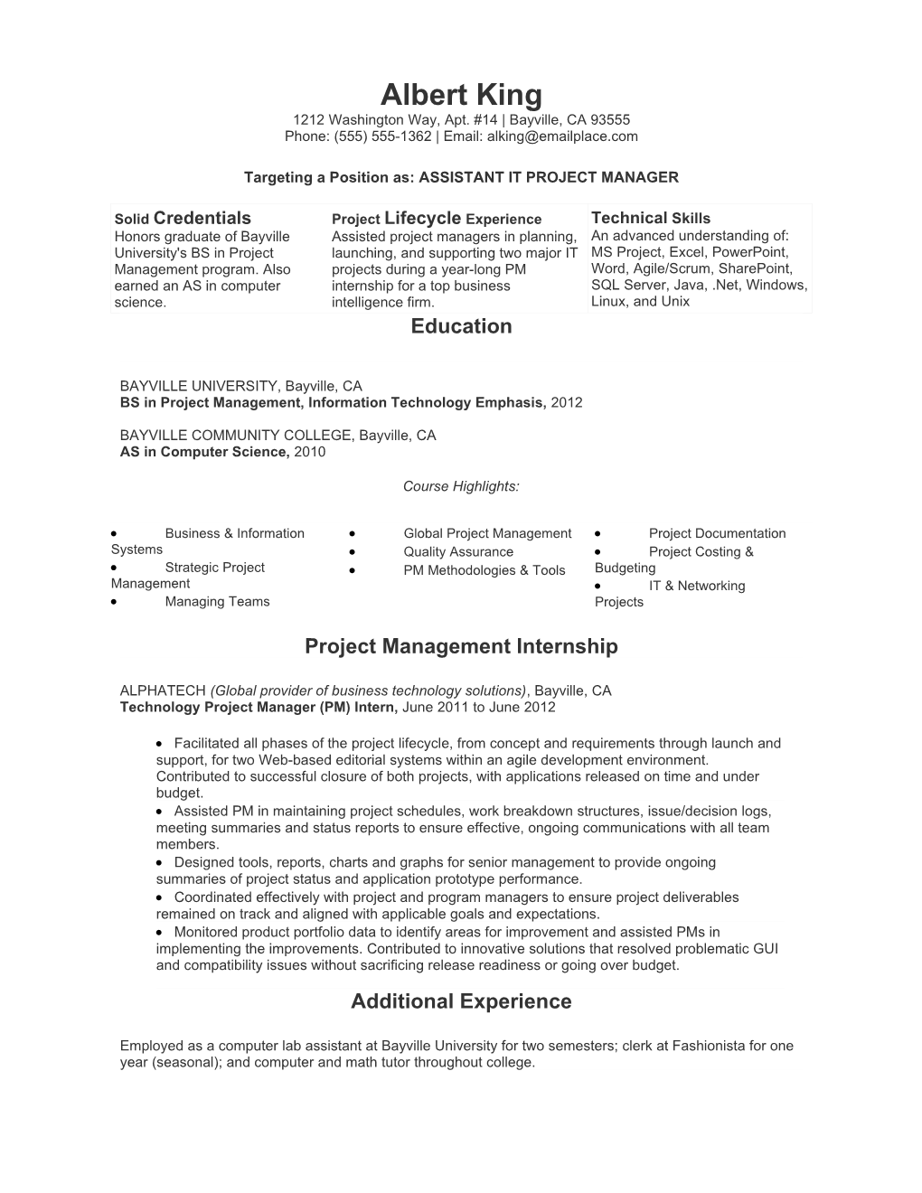 Example Assistant IT Project Manager Resume