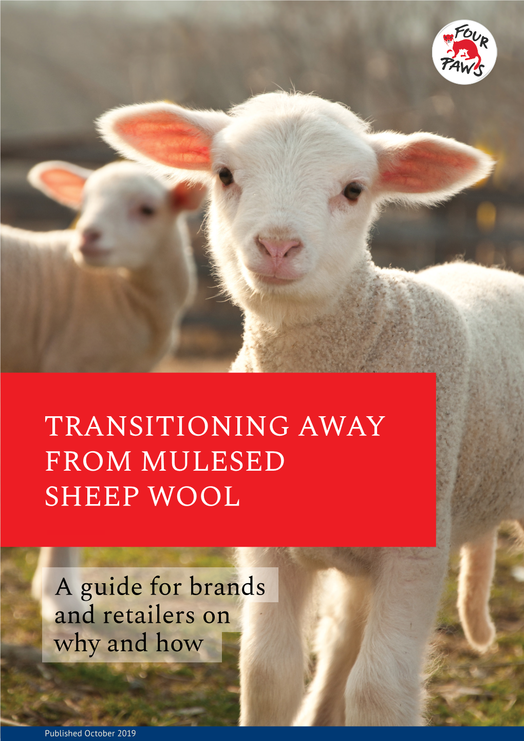 Transitioning Away from Mulesed Sheep Wool