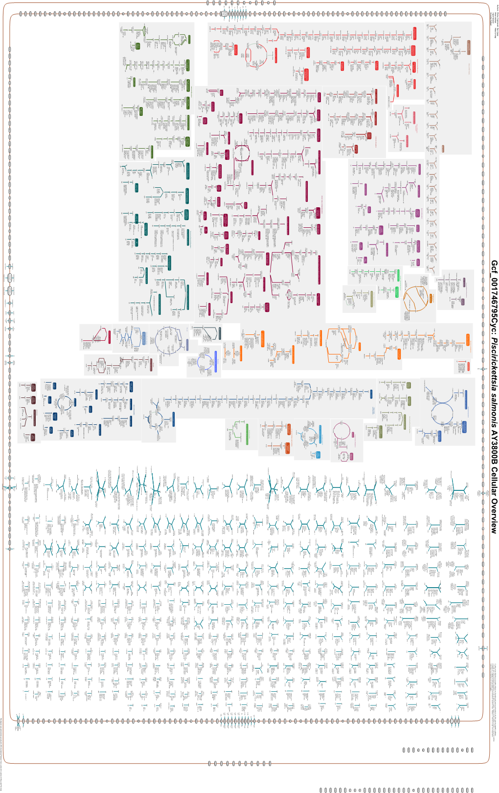 Generated by SRI International Pathway Tools Version 25.0 on Sat Jun 12, 2021