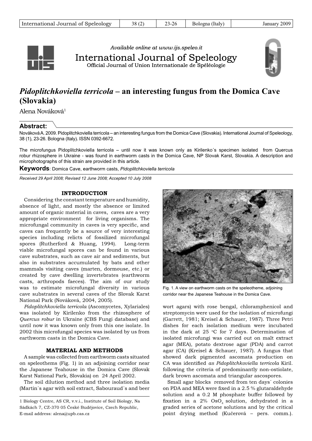 Pidoplitchkoviella Terricola – an Interesting Fungus from the Domica Cave (Slovakia) Alena Nováková1