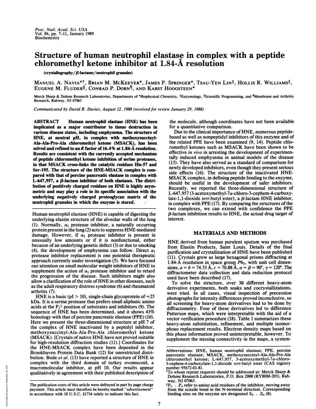 Structure of Human Neutrophil Elastase in Complex with a Peptide