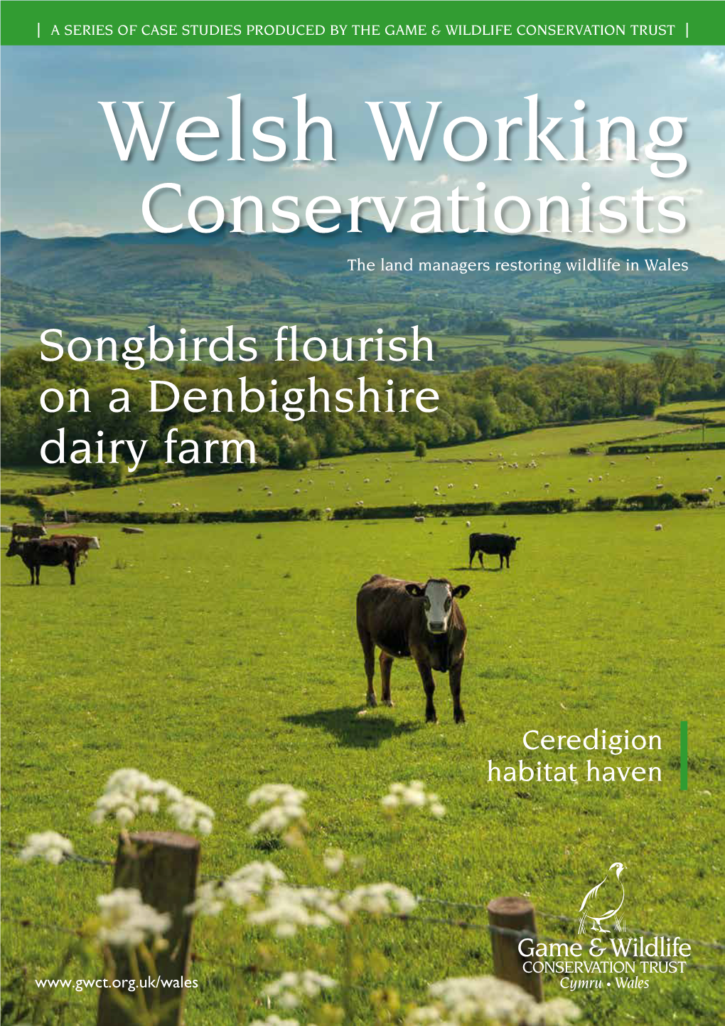 Welsh Working Conservationists the Land Managers Restoring Wildlife in Wales Songbirds Flourish on a Denbighshire Dairy Farm