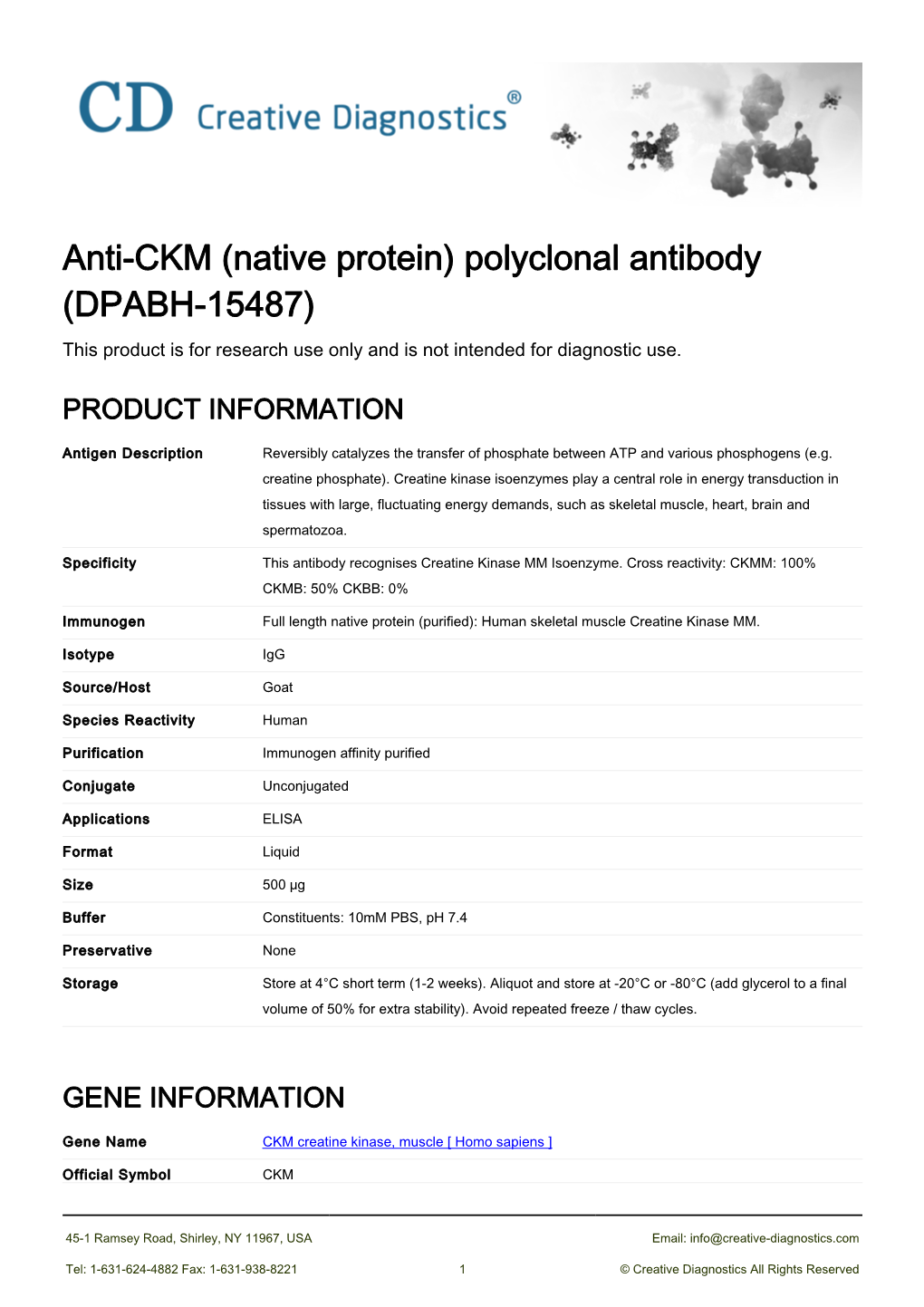 Anti-CKM (Native Protein) Polyclonal Antibody (DPABH-15487) This Product Is for Research Use Only and Is Not Intended for Diagnostic Use