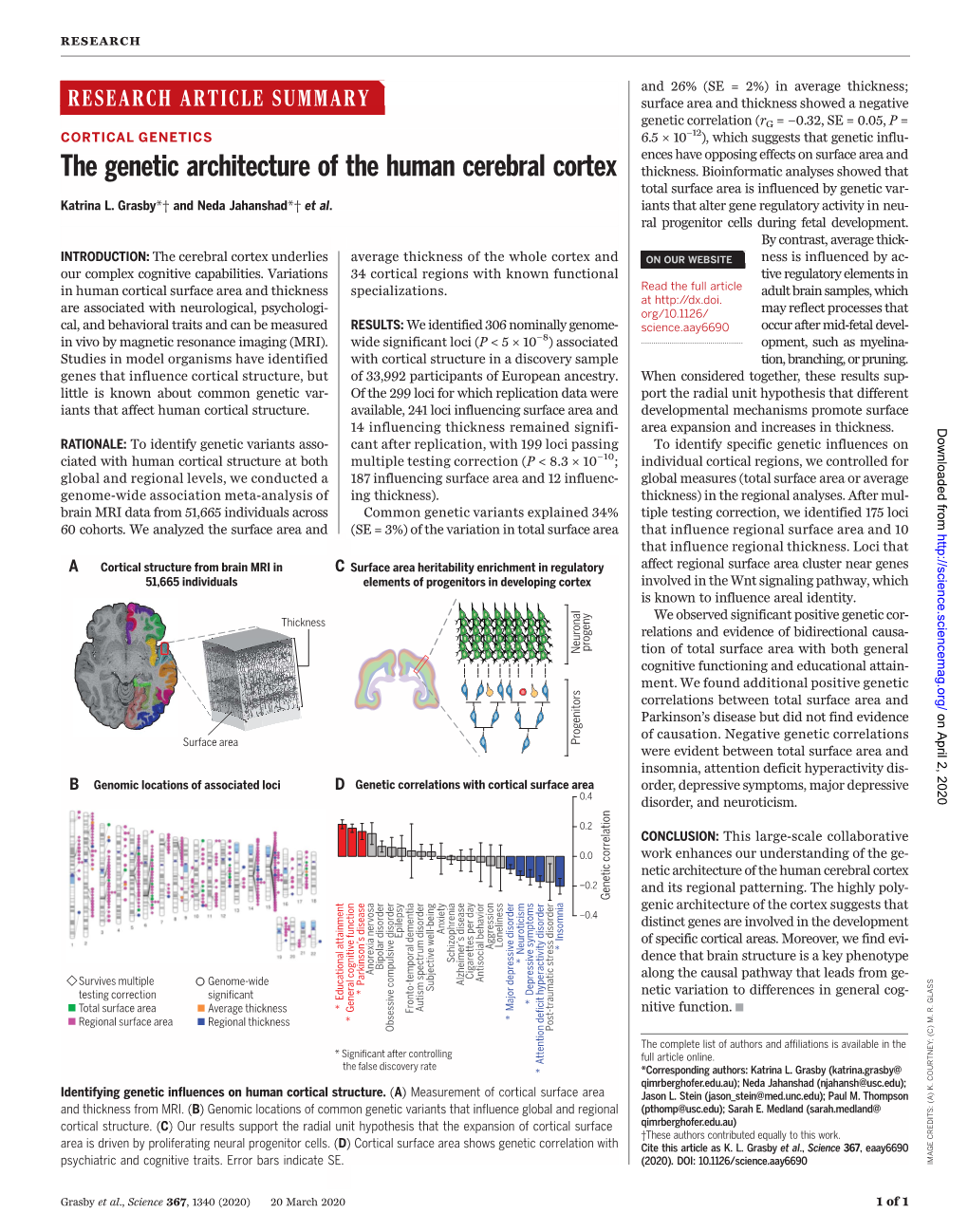The Genetic Architecture of The