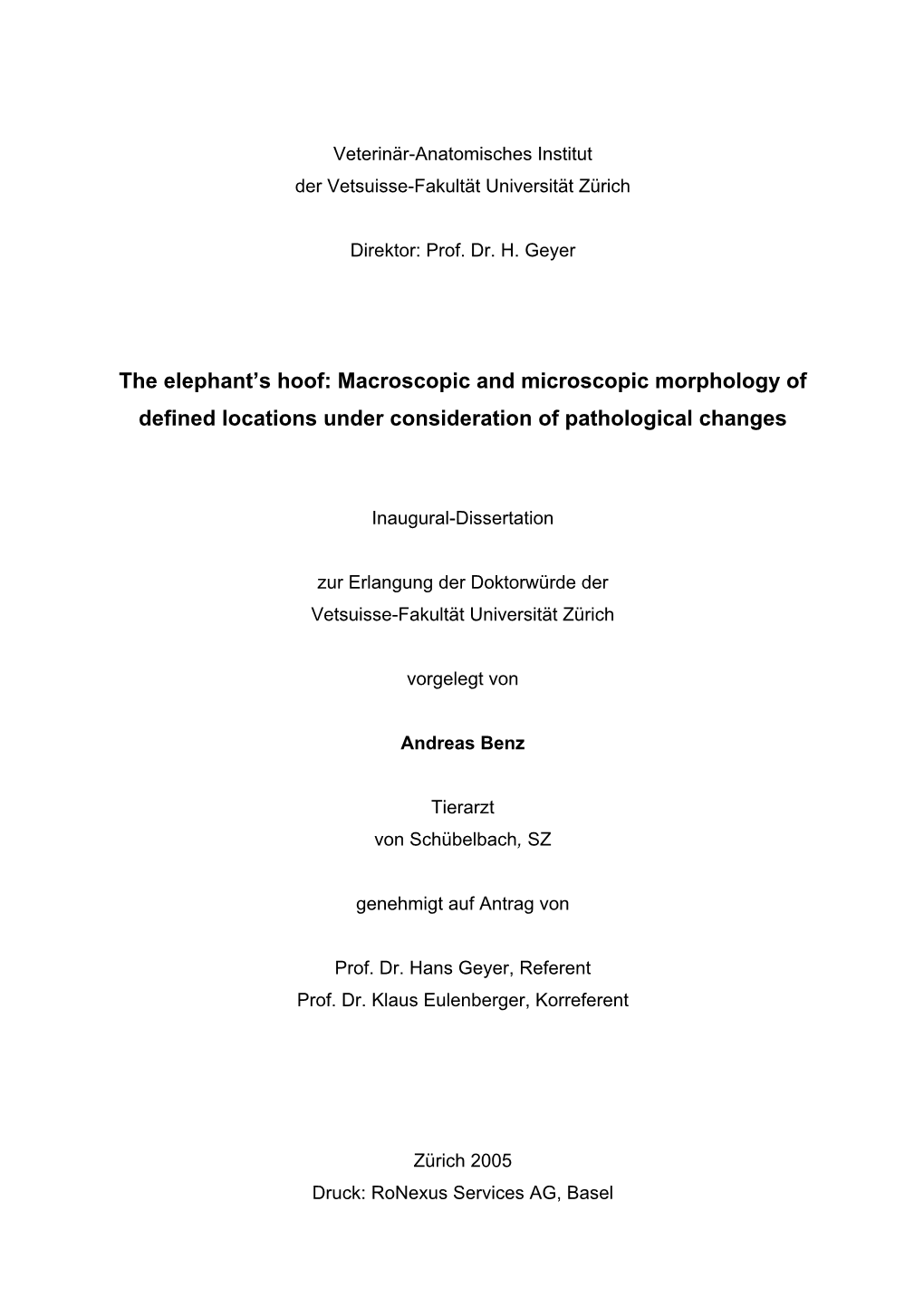 The Elephant's Hoof: Macroscopic and Microscopic Morphology of Defined