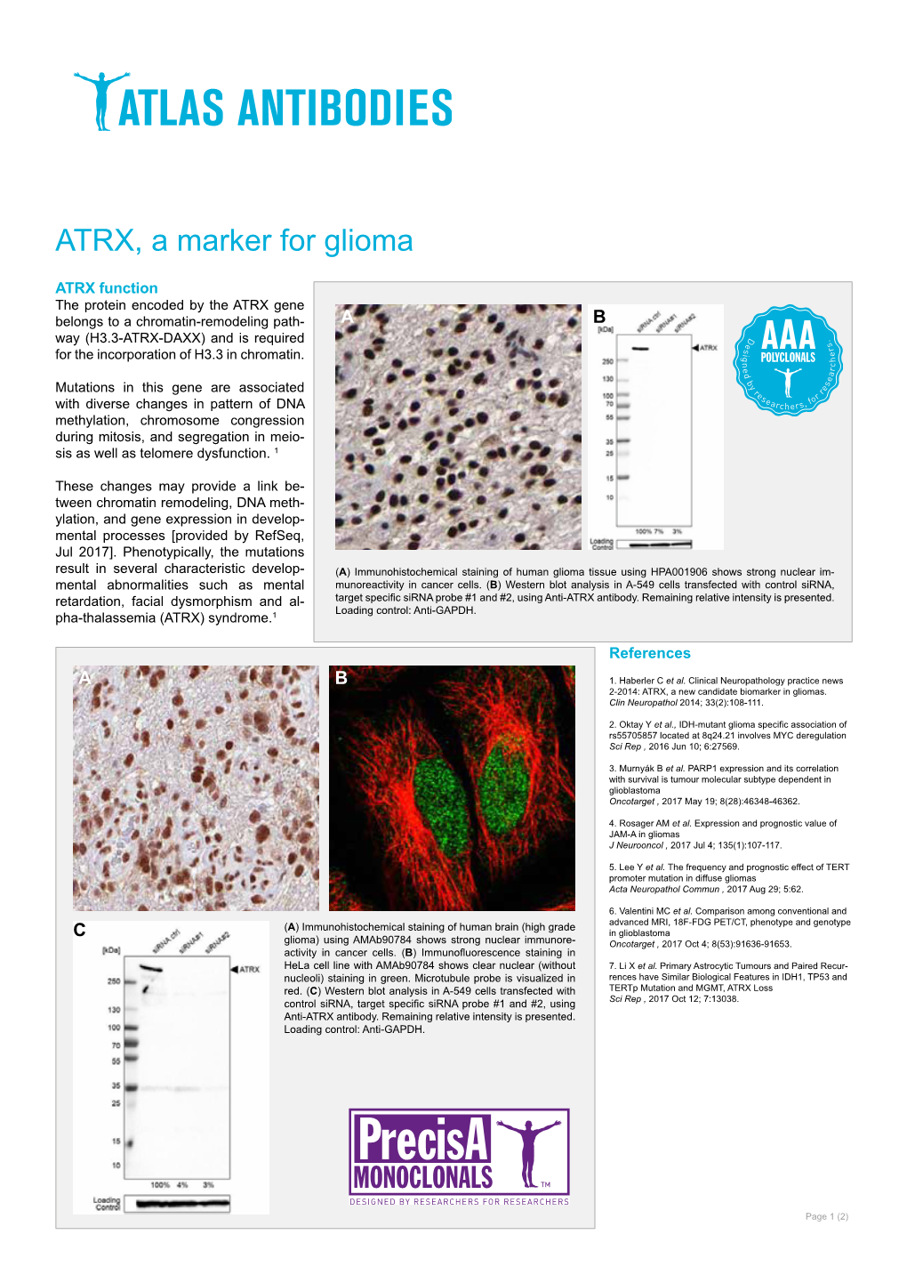 ATRX, a Marker for Glioma